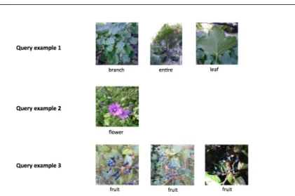 Fig. 3 Query examples – some of them are composed of a single picture whereas some others contain several pictures of one or several types of view