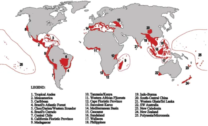 Figure 2. The 25 world hotspots (Myers 2000). 