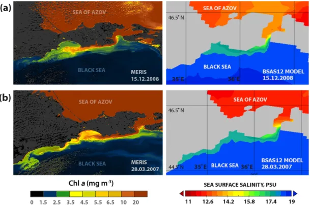 Figure 7. Sea surface distribution of Chl a retrieved from MERIS satellite data (left) and sea surface salinity distribution obtained from numerical modelling (right) on (a) 12 December 2008 and (b) 28 March 2007.