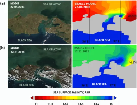 Figure 10. Formation of the BP after the wind relaxation on (a) 27 April 2003 and (b) 12 November 2015; retrieved from MODIS satellite data and confirmed by the BSAS12 model simulation.