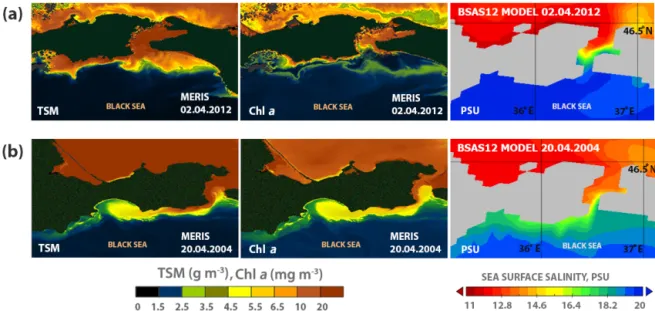 Figure 2. Sea surface distributions of TSM (left) and Chl a (middle) retrieved from MERIS satellite data and sea surface salinity distri- distri-bution obtained from numerical modelling (right), indicating (a) wind-induced resuspension of sea bottom sedime