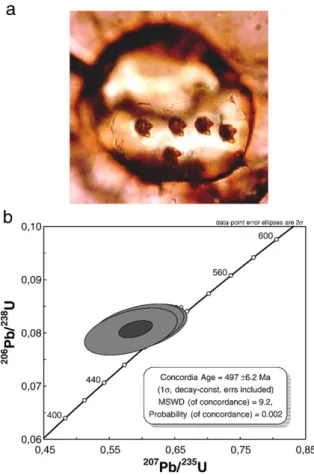 Fig. 7. a. Microphotograph of a monazite inclusion in garnet from sample I01-93-5 which has been dated by LA-ICP-MS at 501 ± 16 Ma.