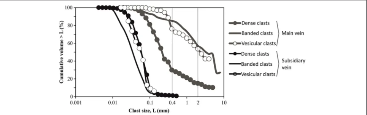 FIGURE 4 | Clast size distributions of the different clast types within the main tuffisite vein and the subsidiary vein