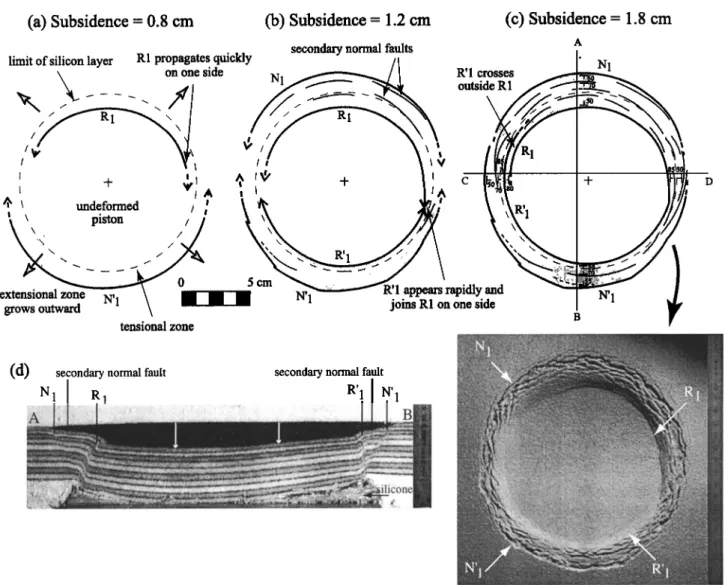 Figure 11.  Three dimensional  experiments.  Roof aspect  ratio of  0.2. (a-c) Temporal  evolution  of  surface  deformation  in experiment  45