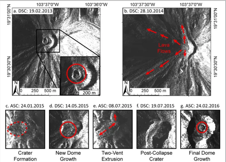 FIGURE 4 | SAR amplitude images highlighting important developments at the summit crater at various stages of the observation period, red circles mark lava dome positions