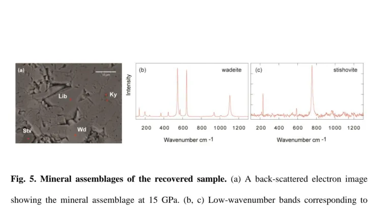 Fig.  5.  Mineral  assemblages  of  the  recovered  sample.  (a)  A  back-scattered  electron  image 