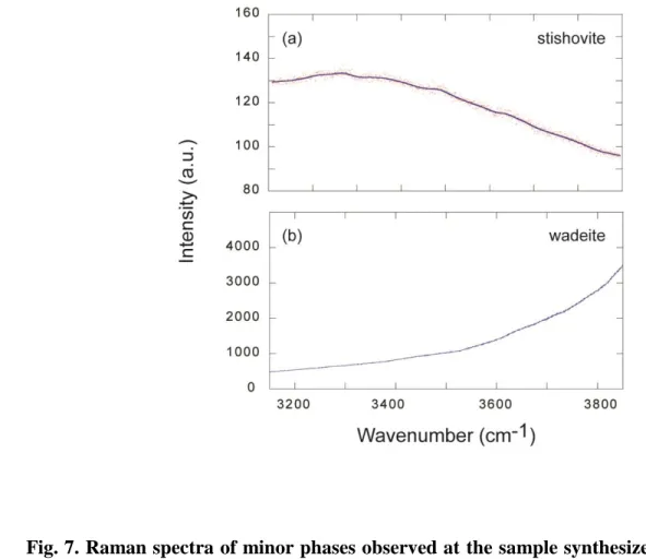 Fig. 7. Raman spectra of minor phases observed at the sample synthesized at 15 GPa. The 