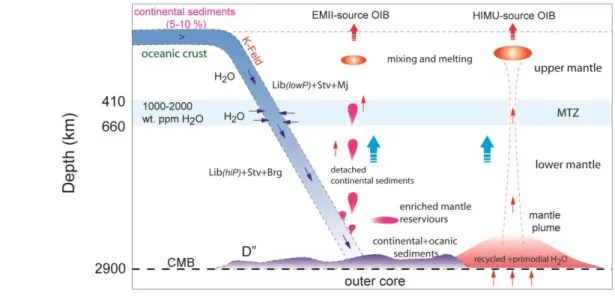 Fig. 9. The potential mechanism explaining the elevated H 2 O content in ocean island basalts