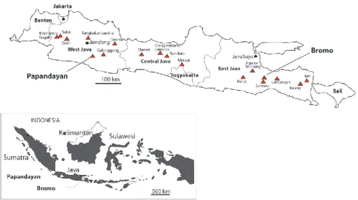 Fig. 1. Java island with its 18 active volcanoes. The target volcanoes, Papandayan and Bromo, are indicated