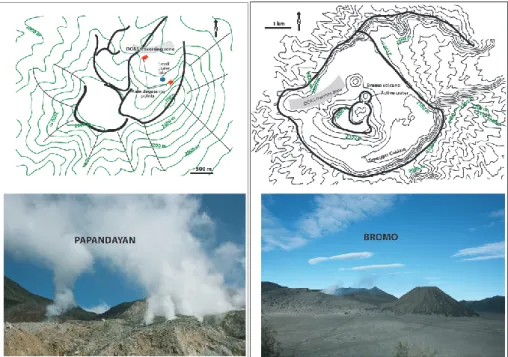 Fig. 2. Maps of the Papandayan summit and the Bromo caldera. The DOAS traverse zones are shaded in gray