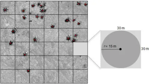 Fig. 4. Representation of the parameters used to elaborate the density map  274 