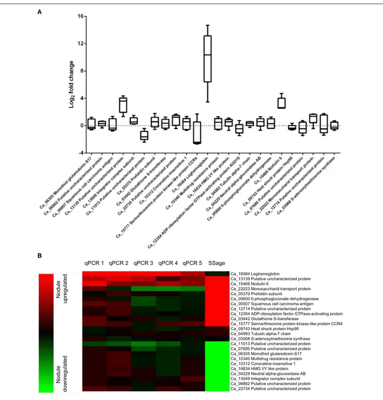 FIGURE 3 | Biological variance in gene expression of 21 candidate and three reference genes across five biological replicates (A) and comparison of deepSuperSAGE expression patterns from ten pooled plants with the individual expression ratios determined by