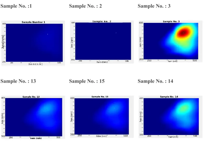 Figure 2. shows the excitation emission matrices EEM of fluorescence for the samples         numbers 1, 2, 3, 13, 14, 15 which are described in table 2