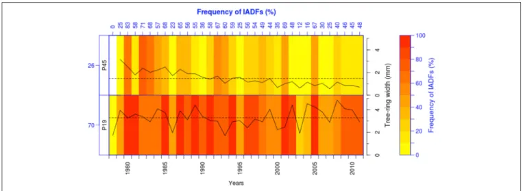 FIGURE 1 | Heatmap showing IADFs for two different provenances of Abies alba: a fast-growing (P19, n = 17) and a slow-growing provenance (P45, n = 24)