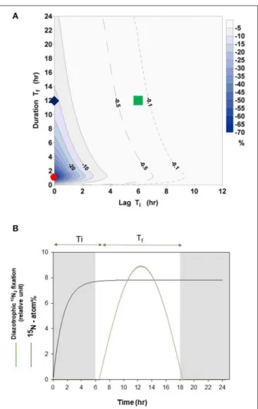 FIGURE 2 | (A) Percentage error according to Equation (7) in relation to phase lag T i (time lag between gas injection and start of 15 N 2 fixation by diazotrophs) and to T f (length of active fixation period)
