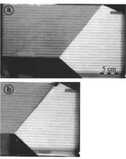 Figure 4.  Experiment  2. View from above of initial (a) and final  (b) stages  of the experiment