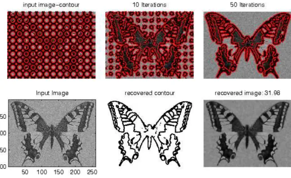 Figure 5: Top row: noisy image with Gaussian noise (variance = 0.2) and initial contour, evolution by iterations