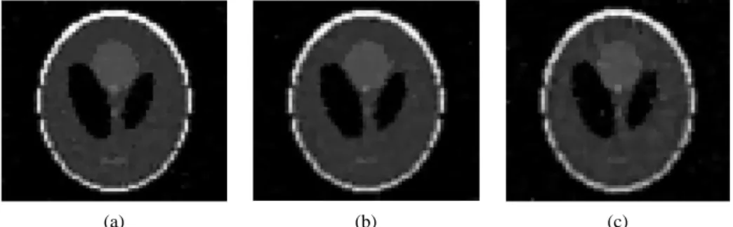 Figure 3. Reconstruction of the Shepp-Logan head phantom using the topological gradi- gradi-ent method
