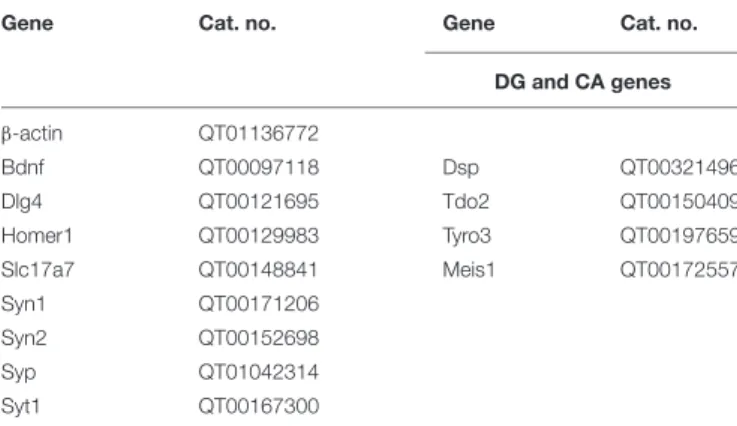 TABLE 1 | List of primers used for qPCR.