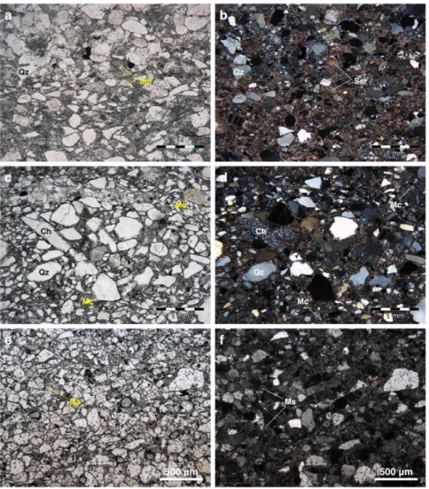 Figure 2. Photomicrographs of the analyzed Moodies rocks from the Eureka (a,b) (sample 12-007),  Dycedale  (c,d)  (sample  14-145),  and  Saddleback  (e,f)  (sample  SAD22)  synclines
