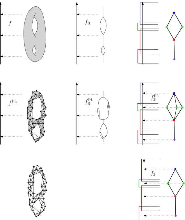 Figure 8: Examples of the function defined on the original space (left column), its induced function defined on the Reeb graph (middle column) and the function defined on the Mapper (right column).