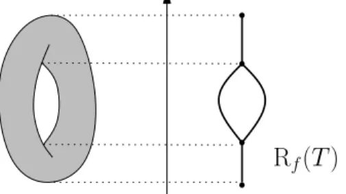 Figure 2: Example of Reeb graph computed on the torus T with the height function f.