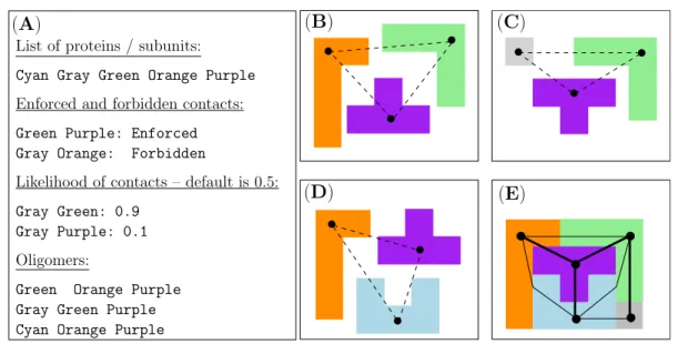 Figure 1: (Minimum) Connectivity Inference from oligomers and a-priori information on contacts: illustration on a fictitious system