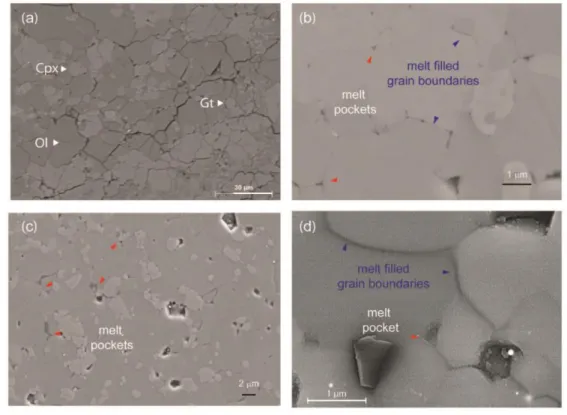 Figure 2. High resolution microphotographs of the recovered samples before and after 