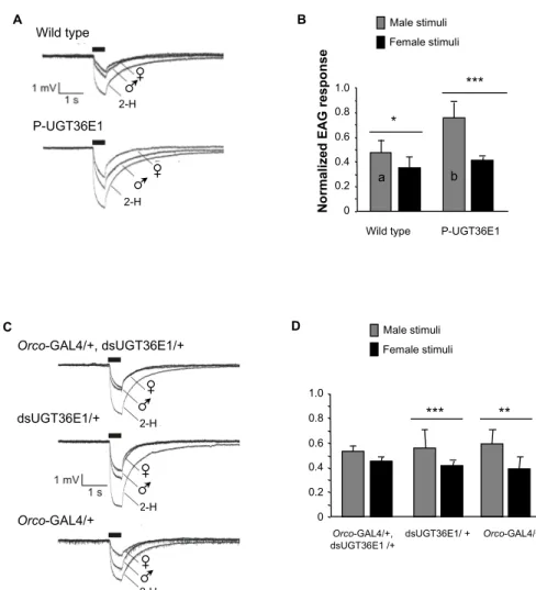 Figure 4. Electrophysiological recording of male olfactory response to different stimuli