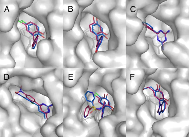 Fig. 2 Best binding poses for the HSP90 set. Crystallographic structures are shown in blue