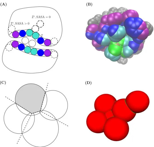 Fig. 1 Structural parameters used in this work. (A) A fictitious 2D complex and its interface atoms label highlighted in color