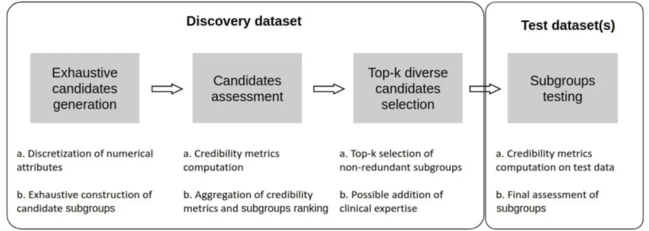 Figure 4: Q-Finder works in 4 main stages: an exhaustive generation of candidate subgroups, a ranking of candidate subgroups via an evaluation of their empirical credibility, a selection of the best candidates (taking into account the redundancy between su
