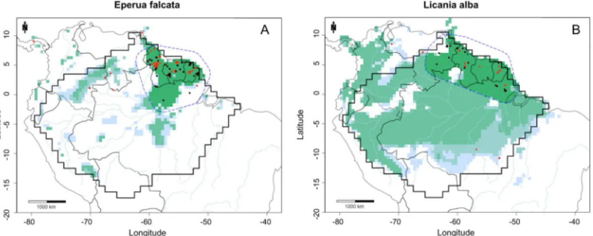 Figure 2.  The predicted area of occupancy by MaxEnt (green) and the IDW map (grey) of (A) Triplaris  weigeltiana; and (B) Macrolobium acaciifolium