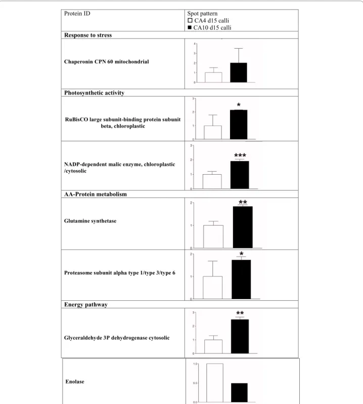 Figure 6 Relative abundance of differentially accumulated major proteins upregulated and identified in CA4 d15 and CA10 d15 calli