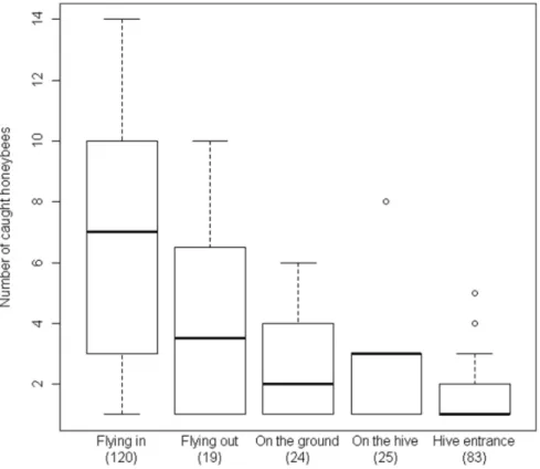 Figure 2. Distribution of the honeybees caught by Vespa velutina . The data are pooled for H1 and H2