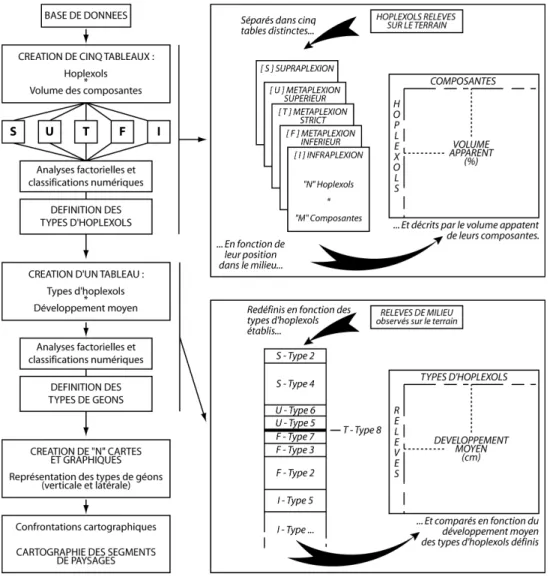 Figure 5 : Traitements numériques permettant la typologie des hoplexols puis celle des géons  et mise en forme des tables de contingence (Morschel, 2006)