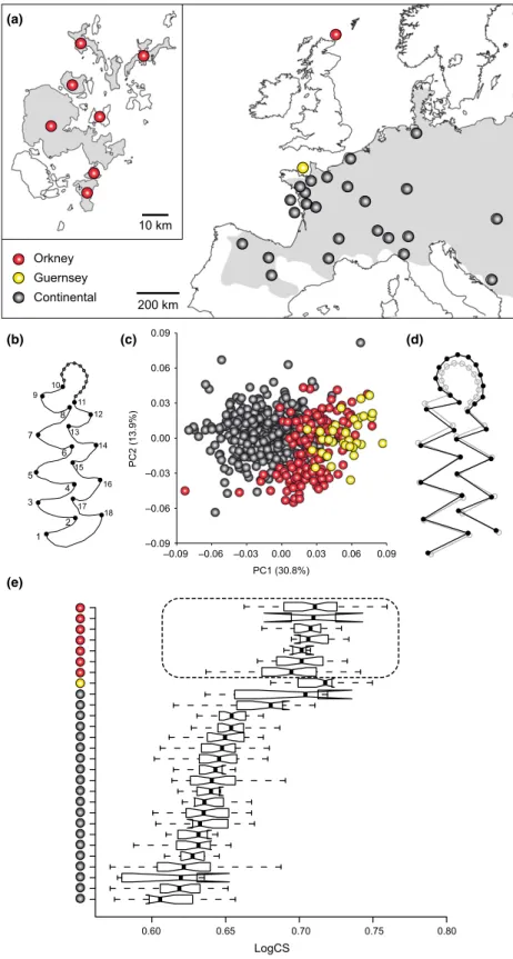 Fig. 1 The morphological variation of the first lower molar (M 1 ) among modern Microtus arvalis populations