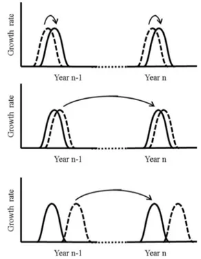 Fig. 1b), or (iii) completely separated in time (Pinus resinosa Ait., Duff and Nolan, 1958; Pinus pinaster Aiton, Kremer and Roussel, 1982; Cedrus deodara (Roxb