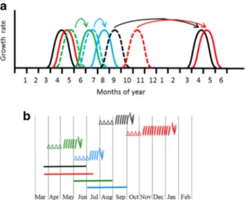 Fig. 7 Chronology of organogenesis and elongation periods of growth units (GU) of annual shoot over 1 year