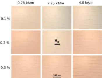 Fig. 2 Snapshots of the suspension microstructure at the fixed elapsed time t = 20 min and different intensities H (or H 0 ) of the applied magnetic field and different particle volume fractions ϕ (reprinted from Ezzaier et al