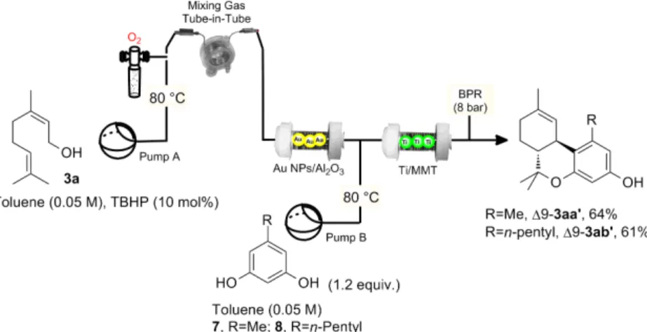 Fig. 5 Continuous flow set up for the synthesis of ortho-THCs 3aa’-3ab’.