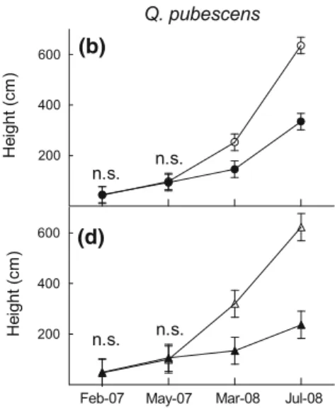 Fig. 1 Effect of shade on height of Pinus halepensis and Quercus pubescens saplings under a shade cloth at February 2007, May 2007, March 2008, and July 2008 (Low Light, filled symbols) compared to saplings under full-light conditions (High Light, empty sy