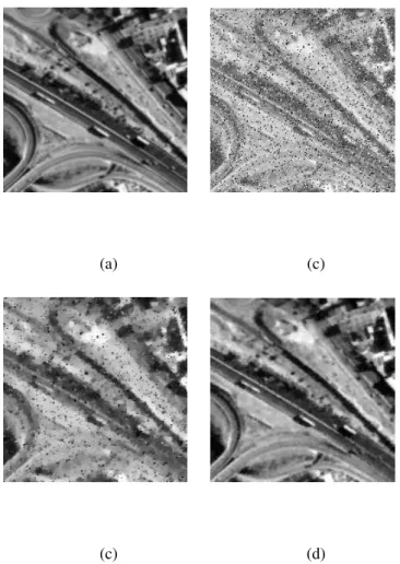 Fig. 1. Robustness to noise: (a) Reference Image, (b) input (irregularly sampled) with additive Gaussian noise (RSB = 15.5dB) and 10% of impulse noise, (c) Result of the algorithm of Almansa et al (regular sampling + denoising), (d) Result of our algorithm