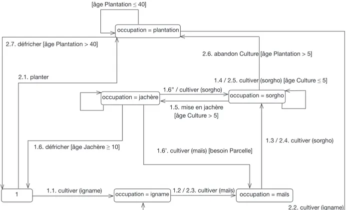 Figure 3.  Règles  de  mise  en  culture  des  parcelles  chez  les  autochtones — Rules  of  setting  culture  for  plots  among  the  natives.
