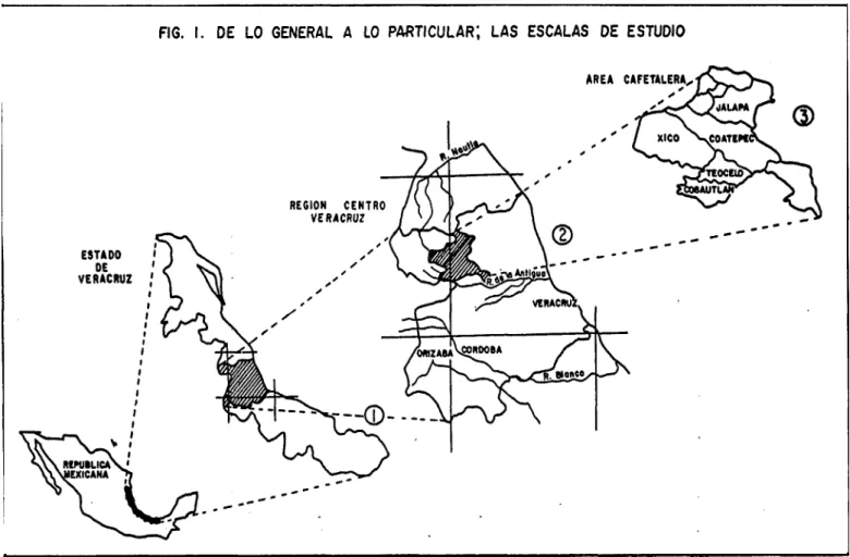 FIG.  I.  DE  LO  GENERAL  A  LO  PARTICULAR;  LAS  ESCALAS  DE  ESTUDIO 