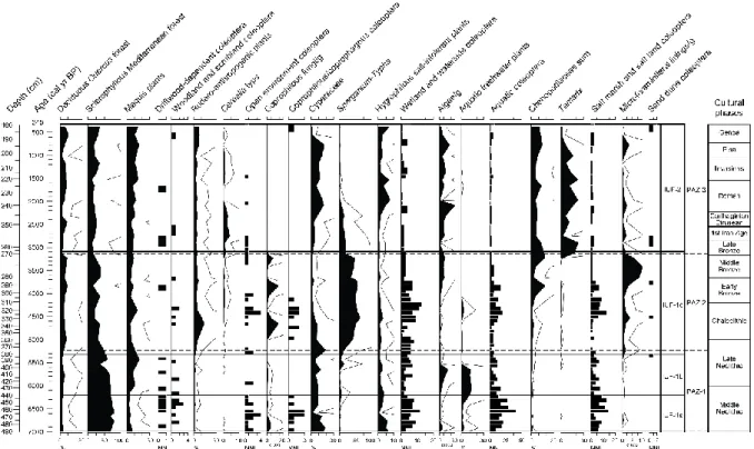 Figure 5. Selection of Coleoptera, pollen and non-pollen palynomorphs groups or type of the Greco pond (Cavallo Island)