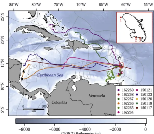 Fig 1. Hawksbill turtles post-nesting migrations from the Martinique Island (red rectangle), in the French West Indies