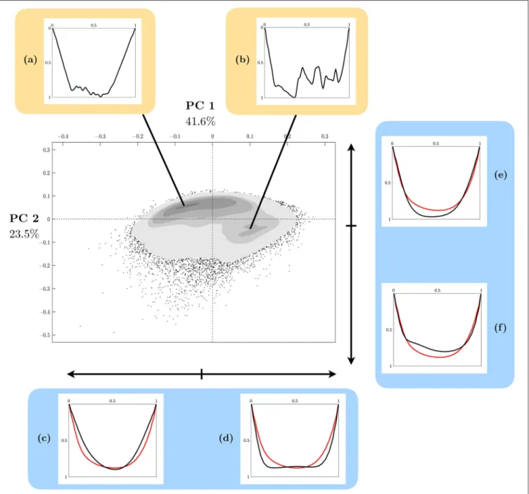 FIGURE 8 | Kernel density display of the 2D FPCA map of dives of southern elephant seals