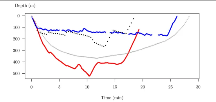 FIGURE 1 | Four dive examples from Mirounga leonina. Each dive is plotted as depth vs