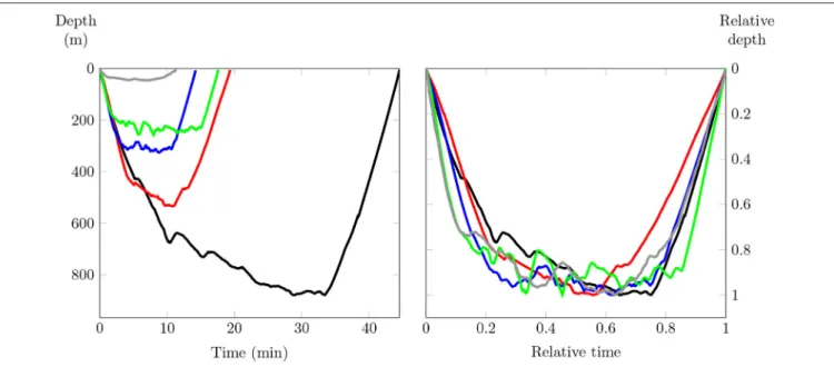 FIGURE 5 | On the left, the representation of some dives (raw data). On the right, the representation of the same dives after normalization